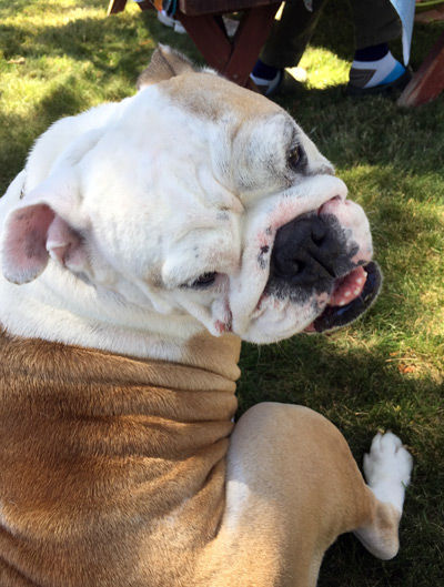 2019-09-02-bbq6