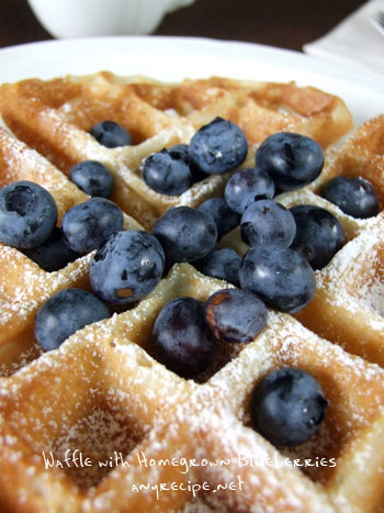 2012_06_04-blueberrywaffle2
