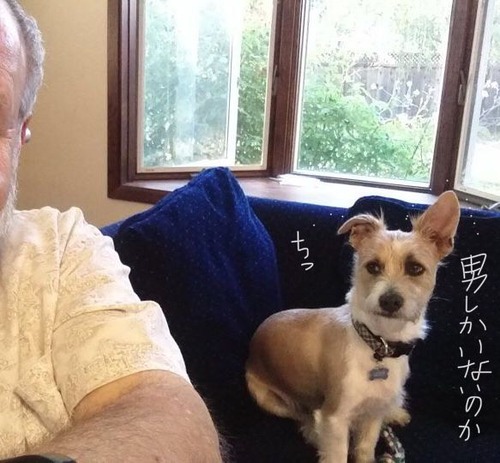 84E5719E-5EF9-41FE-9C0D-85462A9E5BFF