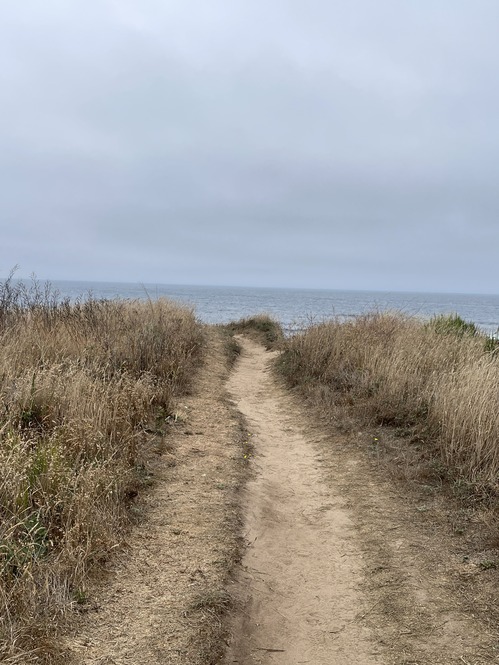 2025-08-29-mendocino (5)
