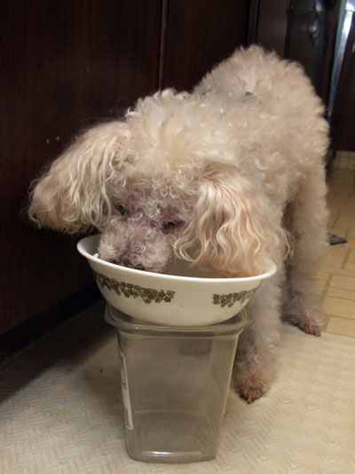 2014-12-23-chibisanta3