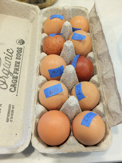 2019-06-12-egg1