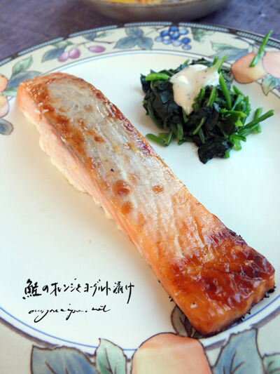 2024-05-03-salmon1