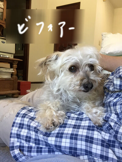 2021-08-10-rasta1