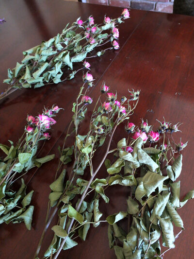 2024-07-10-dryroses3