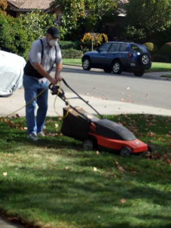 2014-10-26-lawn