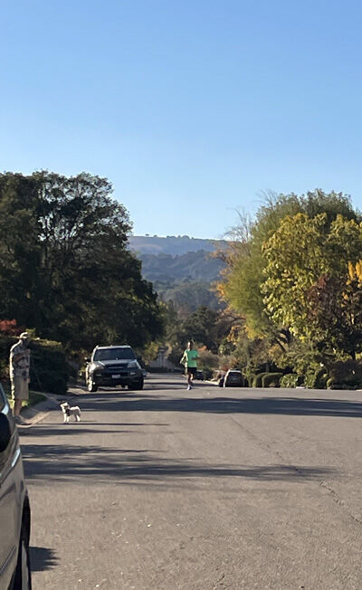 2021-10-29-walk2