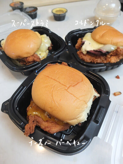 2023-06-18-chix2