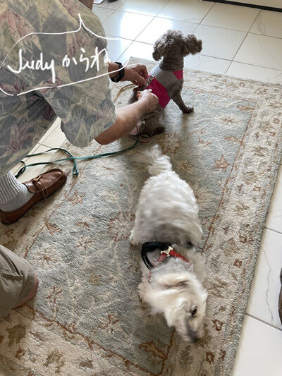 2022-08-08-judy1