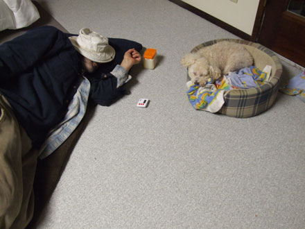 2011_11_21_2