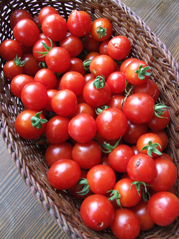 2011_10_07_tomatoes