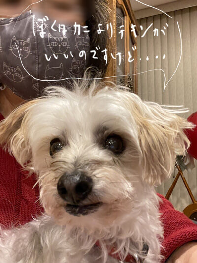 2021-11-07-rasta1