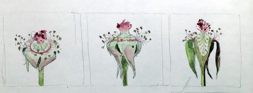 2021-05-09-journal2