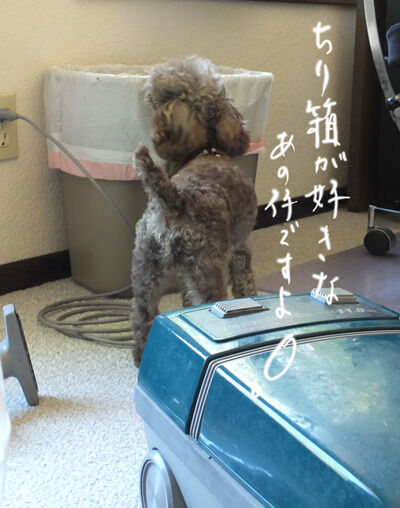 2021-07-02-judy1