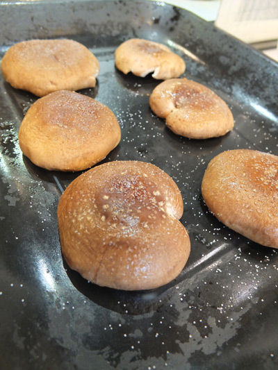 2019-02-27-shiitake13