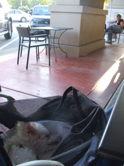 2016-09-11-starbucks7