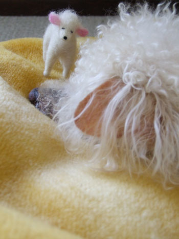 2015-08-27-chibimay30