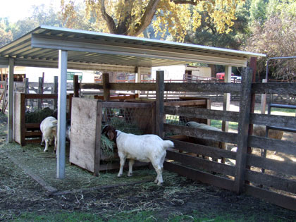 2015-12-01-rancho4