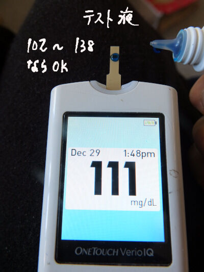 2024-12-29-glucose2