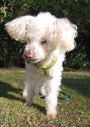 2015-01-29-newharnes1