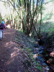 2013-03-22-stream