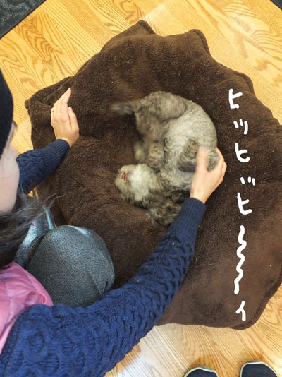 2019-12-29-judy3