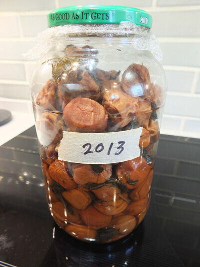 2022-08-20-ume-