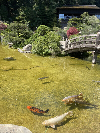 2024-05-06-hakone2