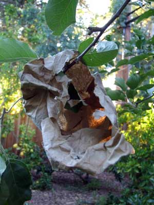 2014-07-15-tornbag