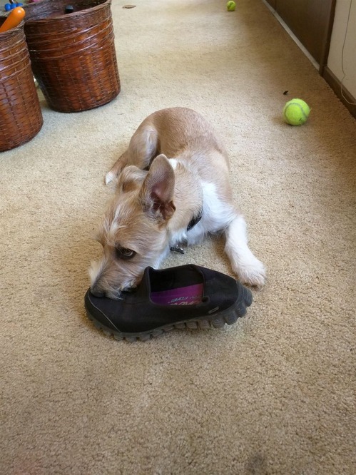 E28069DB-0992-432E-8CE4-813445E5222A