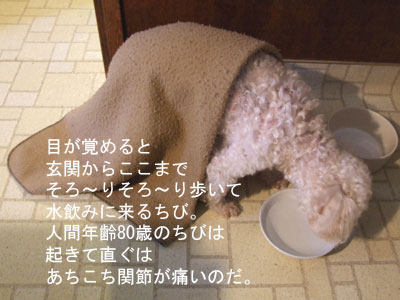 2013-01-05-chibidrinking