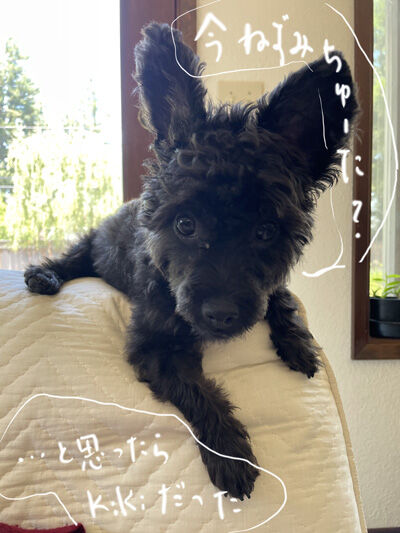 2024-07-10-kiki2