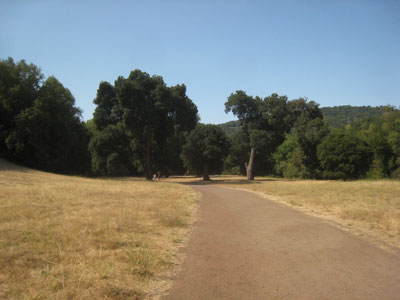 2013-07-02-ranch2