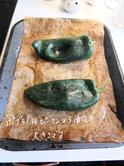 メキシコ料理 チリ レレノ レイェノ カリフォルニアのばあさんブログ Powered By ライブドアブログ メキシコ料理 チリ レレノ レイェノ カリフォルニアのばあさんブログ Powered By ライブドアブログ