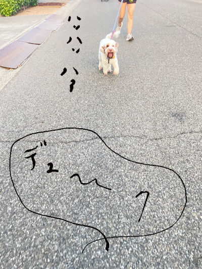 2026-08-31-duke1