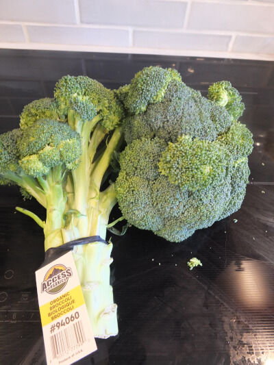 2026-03-23-broccotuna3