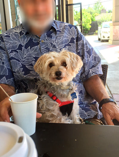 2019-08-27-rasta1