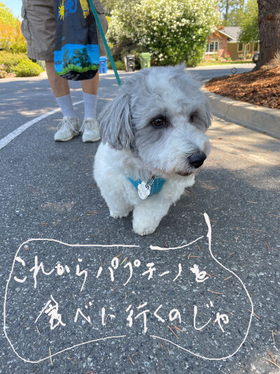 2025-08-11-charlie1