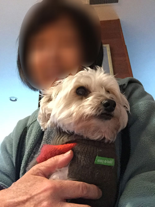 2019-01-04-rasta1