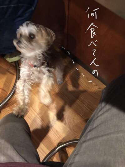 2021-05-01-rasta1