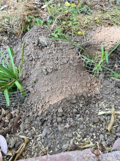 2026-04-19-gopher2