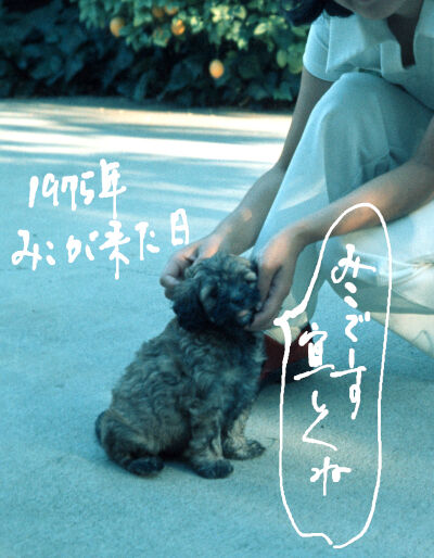2024-12-06-miko2