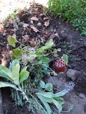 2013-09-29-compost
