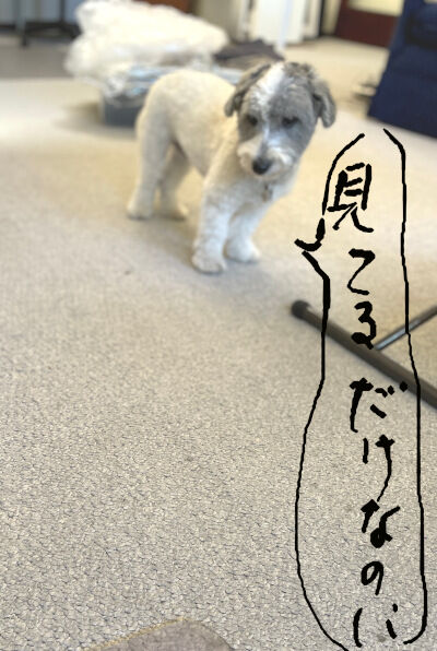 2025-05-09-charlie1