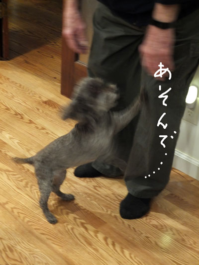 2019-12-25-judy1