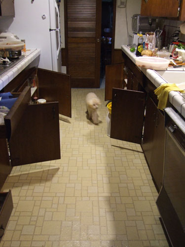 2011_07_04_doors
