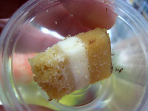 2011_09_03_cake1