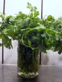 2010_08_14_firstday3