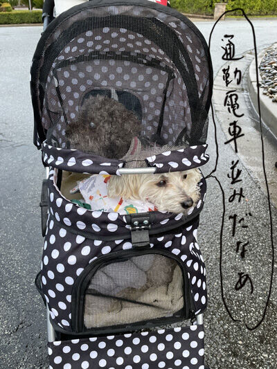 2022-12-30-walk4
