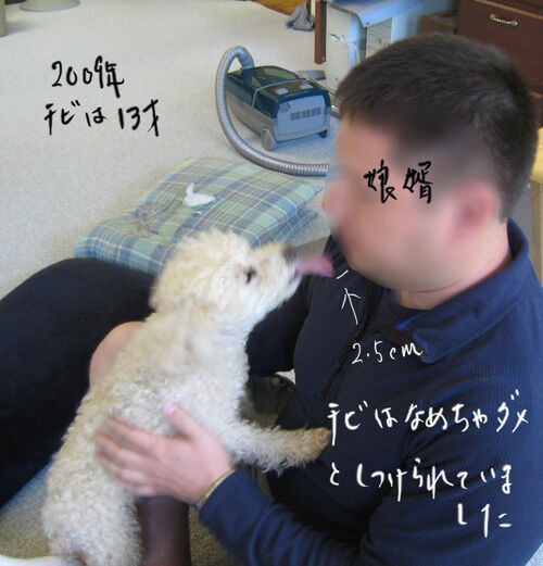 2023-04-02-chibi1